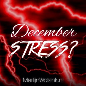 Merlijn Wolsink - December Kerst Stress