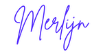 Merlijn Wolsink Logo